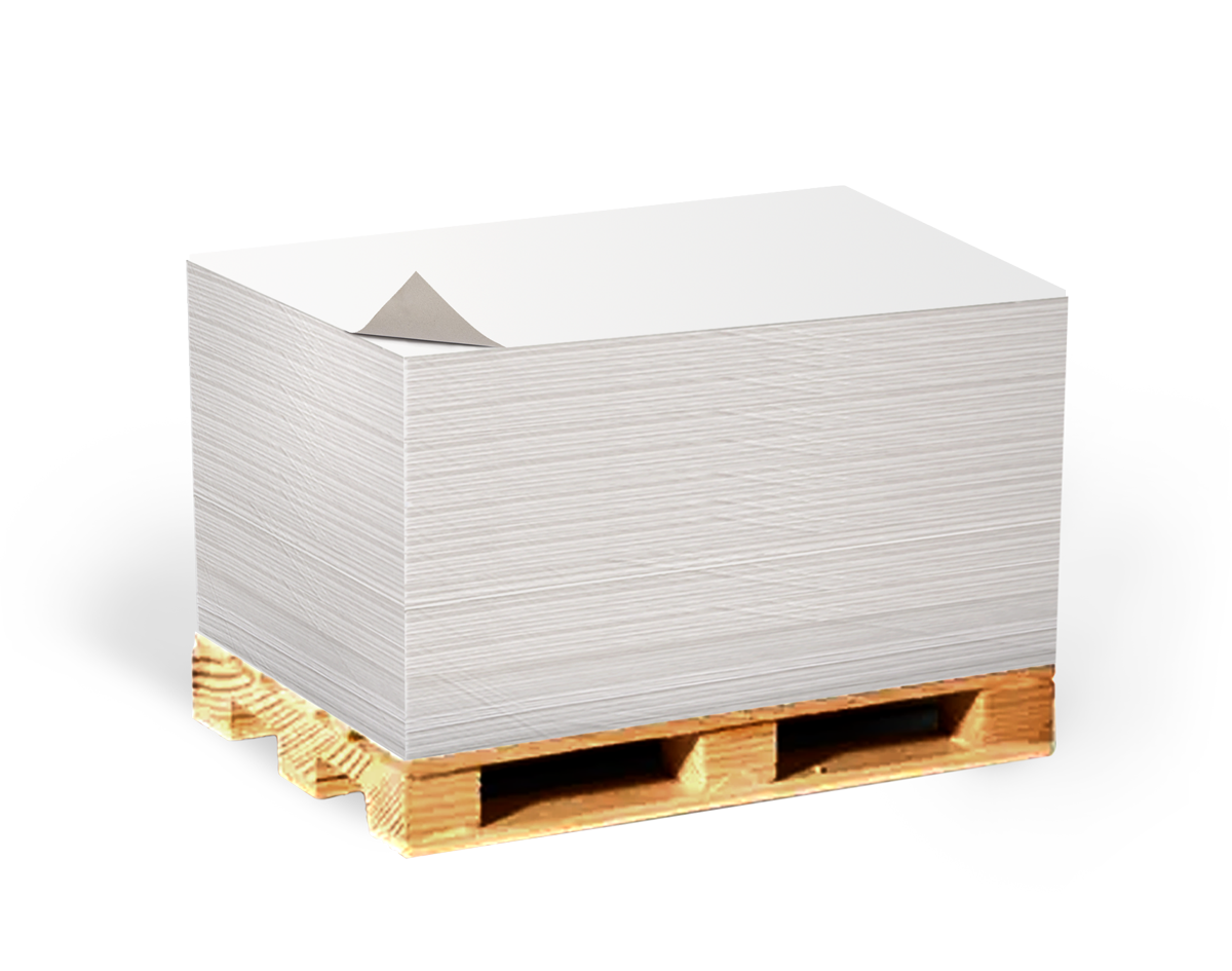 مقوای پشت طوسی